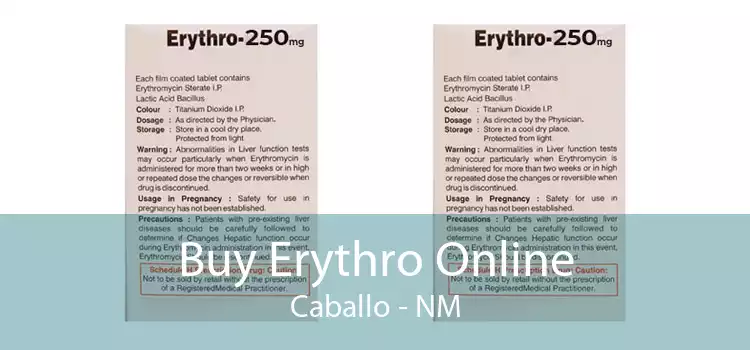 Buy Erythro Online Caballo - NM